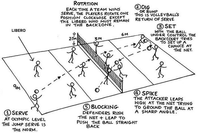 Positions In Volleyball